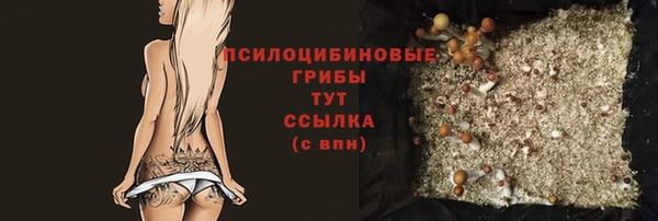 бошки Балахна