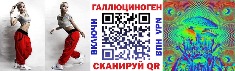 где можно купить   Ладушкин  Псилоцибиновые грибы Psilocybe 
